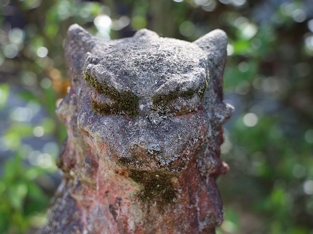 造立は不明でしたが、精悍な顔つきでした。_若宮神社