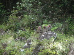 ななさんのaquastyleへの投稿写真1