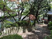 章男君さんの阿弥陀院の投稿写真3