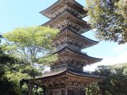 こぼらさんの妙成寺の投稿写真8