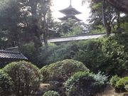 こぼらさんの妙成寺庭園の投稿写真2