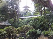 こぼらさんの妙成寺庭園の投稿写真3