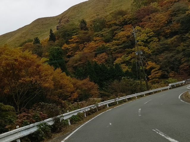 ファームロードWAITA