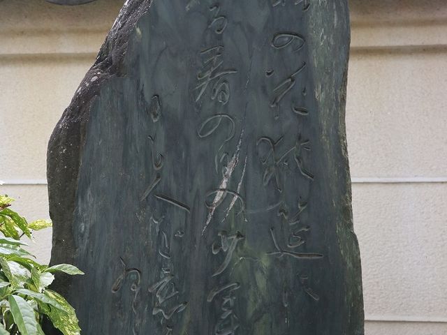 「柿の花狭筵に散る春の日の少年の日も人を恋ひゐし」_妙三寺
