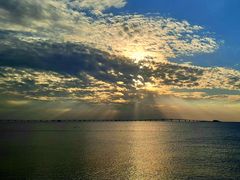 袖ケ浦海浜公園の写真3