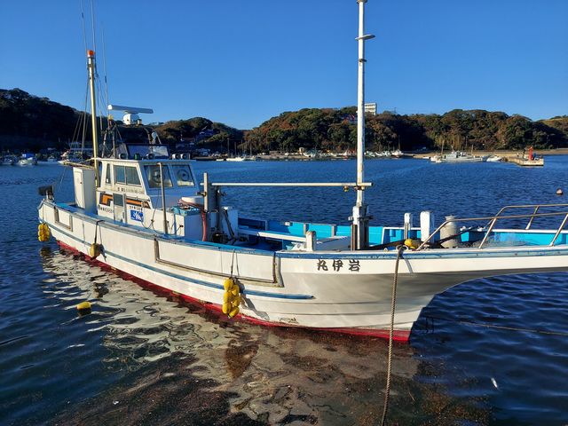三浦半島金田漁港から出船の仕立て船専門の岩伊丸です。四季折々の旬の魚をメインに出船中です
_釣り船 岩伊丸