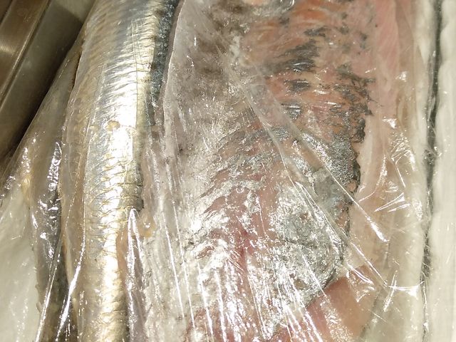 あじ・いわし_うまい鮨勘 熱海支店