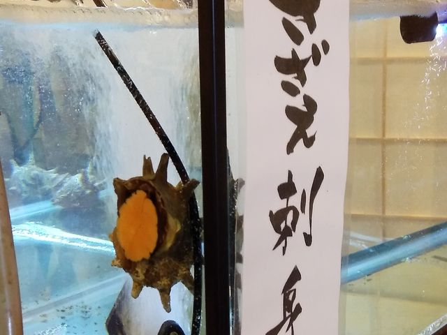 サザエ_あじ屋でん助 小田原店