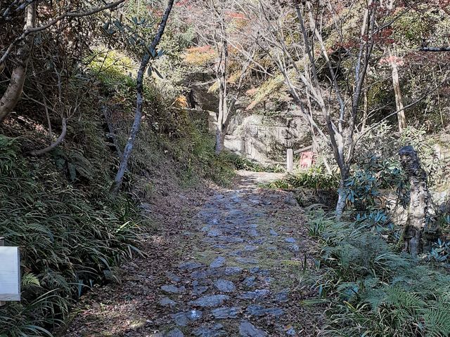 こぼらさんの東海自然歩道の投稿写真2