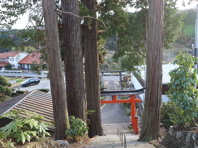 一期一会さんの枝宮八幡神社本殿の投稿写真6
