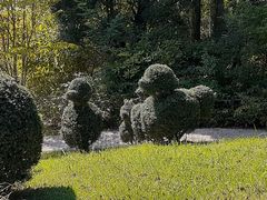 こぼらさんのレッドヒル ヒーサーの森への投稿写真4