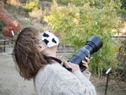 仁美ちゃんさんのかもがた町家公園の投稿写真1