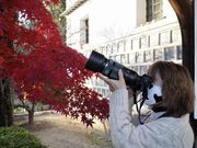 仁美ちゃんさんのかもがた町家公園の投稿写真2