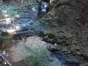 こぼらさんの加太不動滝の投稿写真2