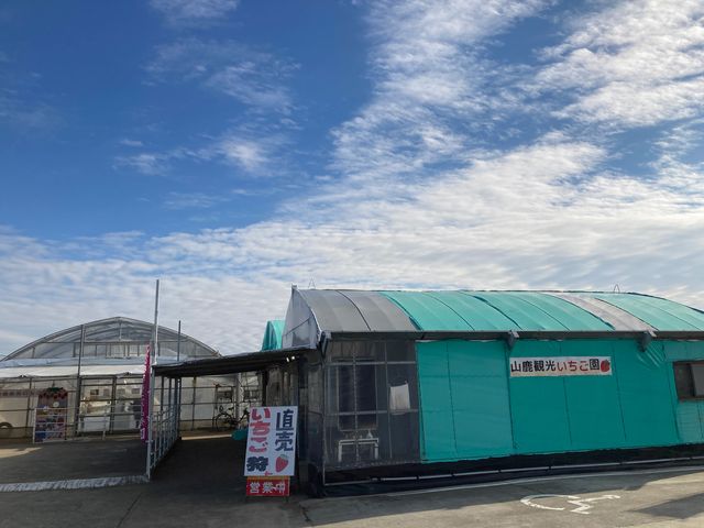 山鹿観光いちご園_山鹿観光いちご園