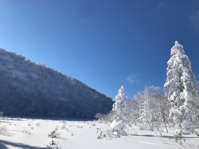 あたり一面の雪と樹氷を見ることができます。_登別ゲートウェイセンター