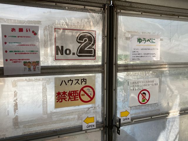 山鹿観光いちご園_山鹿観光いちご園