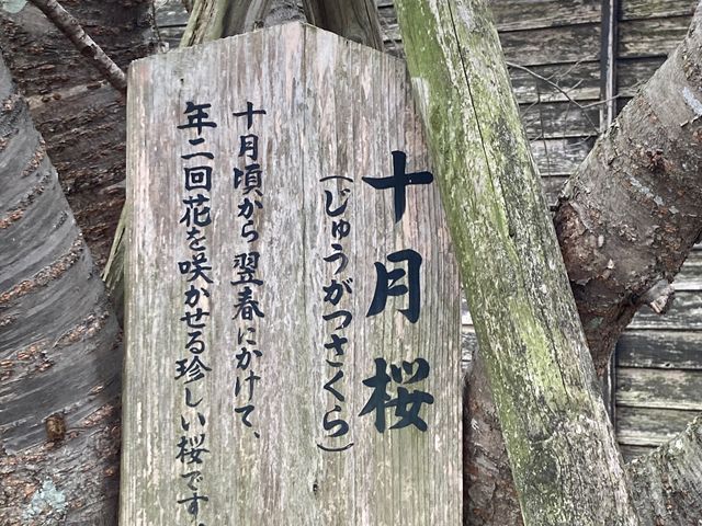 ならのさこ温泉いやしの湯_ならのさこ温泉いやしの湯