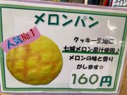 ウッキーさんの道の駅 七城メロンドームの投稿写真1