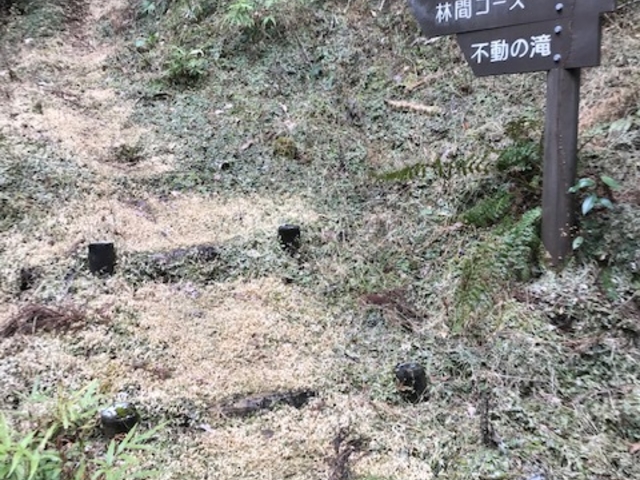 不動の滝コースの入り口です。_矢頭山