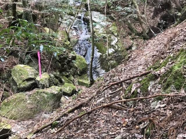 直進したくなりますが、ここで左への渡河が正しい道です。_矢頭山