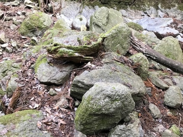 ここを渡ります。_矢頭山