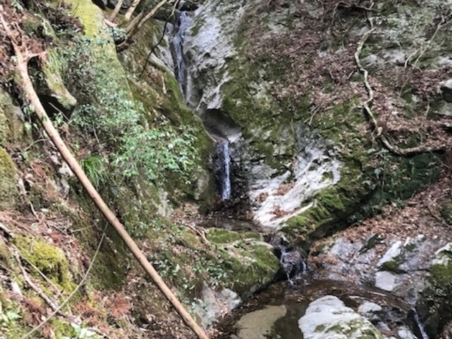不動滝_矢頭山