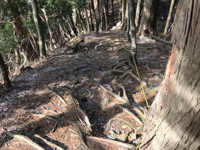 あまりの急角度に爆笑してました。_矢頭山