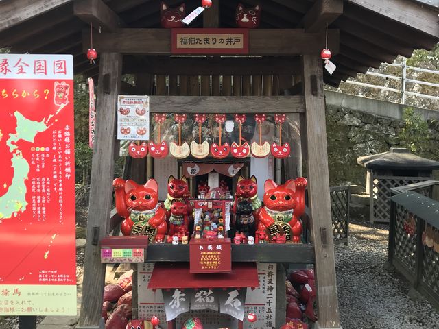 初めて行きました。スーパー猫の日。やはり特別な御朱印が貰えるので1時間程待ちました。_福良天満宮
