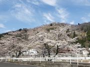 ゆうさんの三休公園の投稿写真1