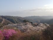 ゆうさんの三休公園の投稿写真2