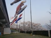 ゆうさんの三休公園の投稿写真3