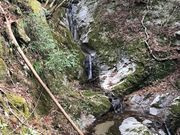 ああああさんの矢頭山の投稿写真5