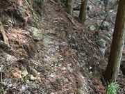 ああああさんの矢頭山の投稿写真6