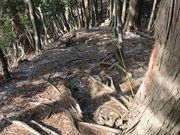 ああああさんの矢頭山の投稿写真7