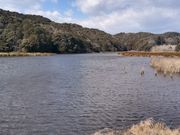 たっちゃんさんの鶴ケ池の投稿写真2