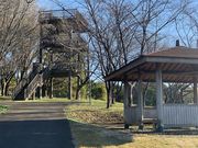 レッドさんの冨士山自然公園の投稿写真1
