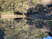 レッドさんの冨士山自然公園の投稿写真2