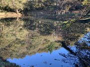 レッドさんの冨士山自然公園の投稿写真3