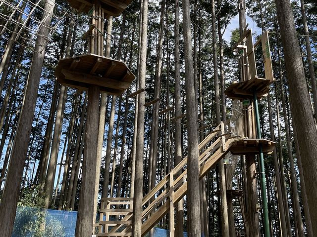 最初はあんな高いところを行くのかと思いますが、慣れてくると楽しくなります。_アドベンチャーパーク オドルの森
