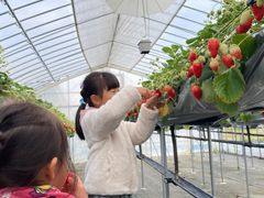 しのっぷさんの株式会社三豊 綾部店への投稿写真1