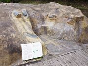 まりもさんの加茂岩倉遺跡の投稿写真1