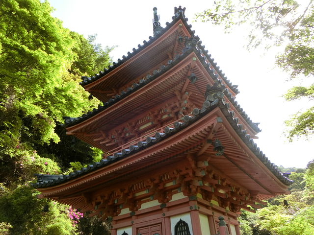 三室戸寺三重塔
