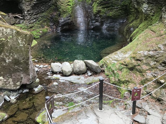 滝迄歩いて行きました。
途中にかたくりの花が咲いていました。_山の駅たかはら