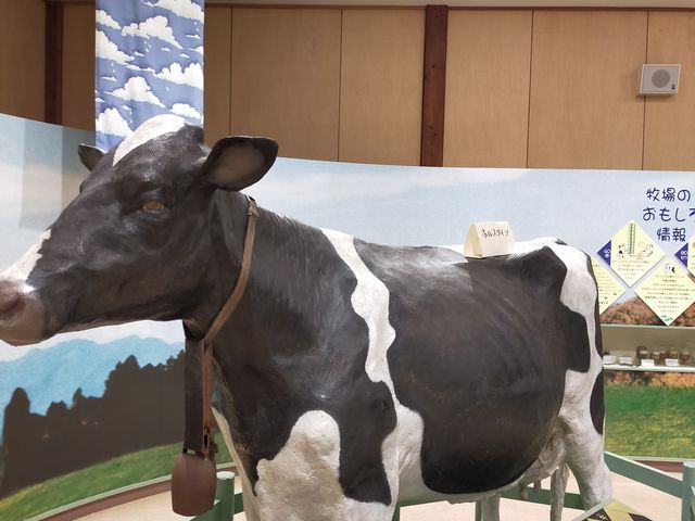 室内展示も豊富です_秩父高原