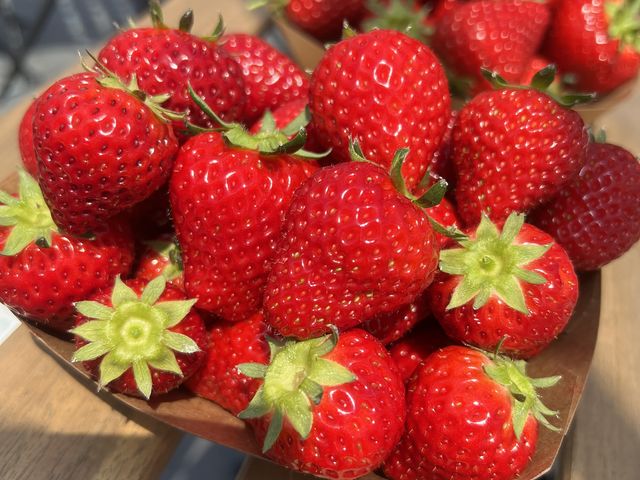 形がキレイないちごがいっぱい!_いちご ぷらんと -ichigo plant-