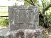 すみっこさんのノハナショウブ自生南限地の投稿写真1