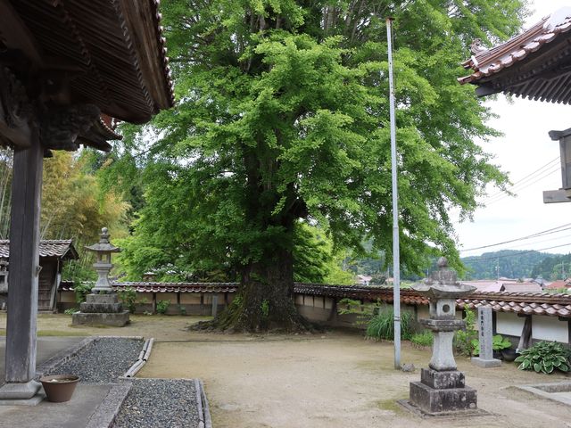 北広島町 西教寺_西教寺