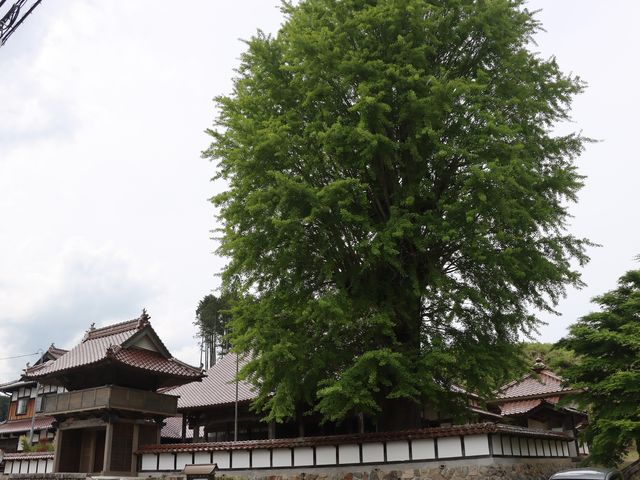 北広島町 西教寺_西教寺