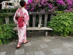 みぃちゃんさんのきものレンタル・着付 きものやへの投稿写真1